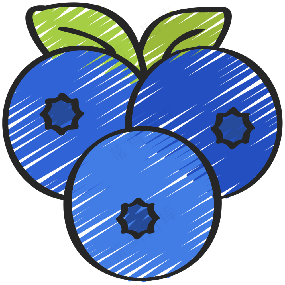 蓝莓 blueberries 绿色健康食品 铅笔手绘图标icon