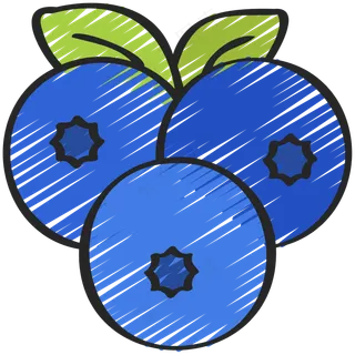 蓝莓 blueberries 绿色健康食品 铅笔手绘图标icon