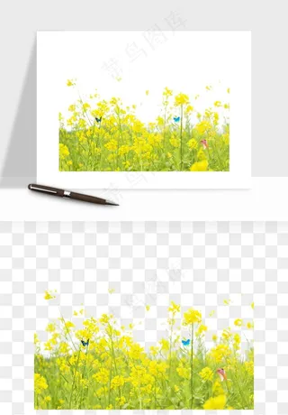 油菜花田png免抠
