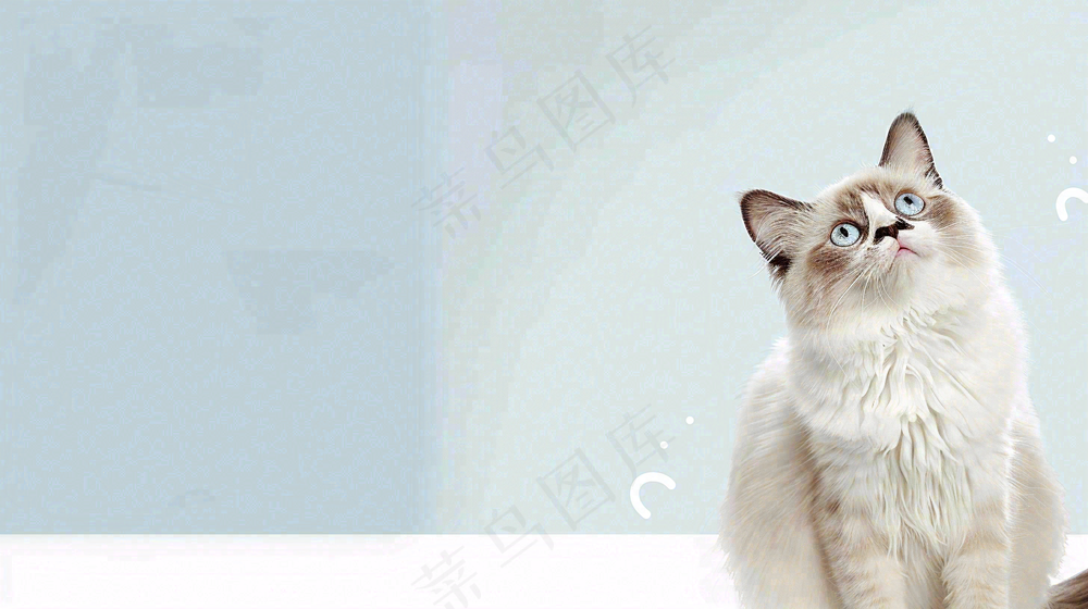 宠物寄养猫狗卡通插画背景