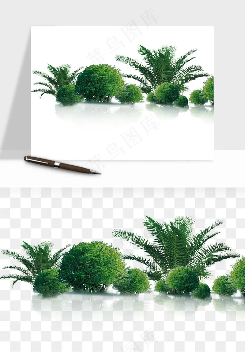 棕榈树椰树png免抠