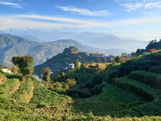 绿意盎然的山村晨景