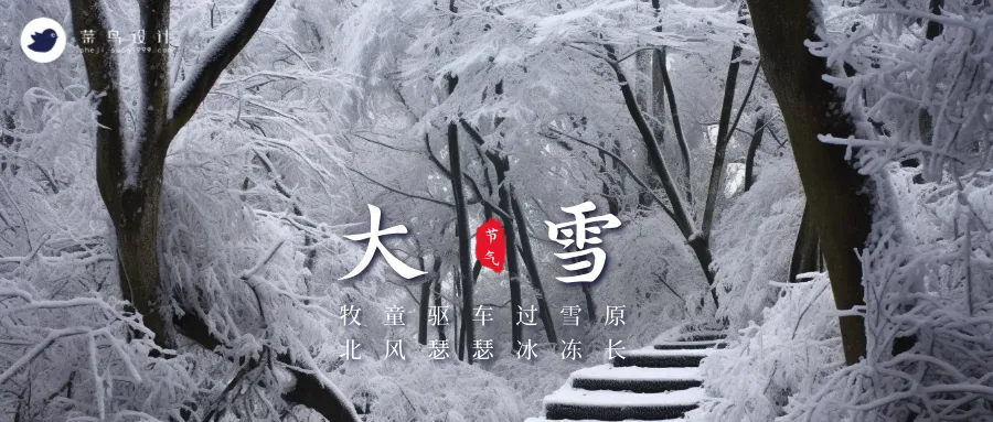 大雪公众号首图