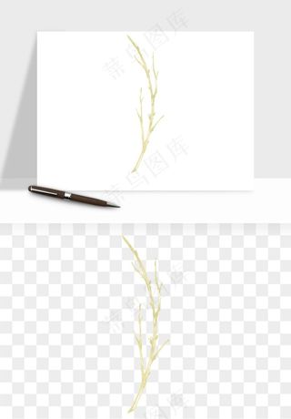 清新手绘植物png免抠