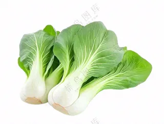 上海青蔬菜免抠