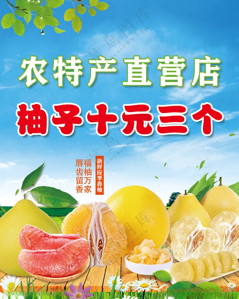 农特产品 直营店农产品会议广告设计海报