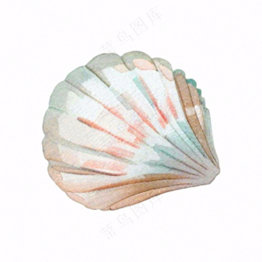海洋扇贝贝壳卡通插画免抠