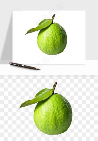 番石榴芭乐水果png免抠