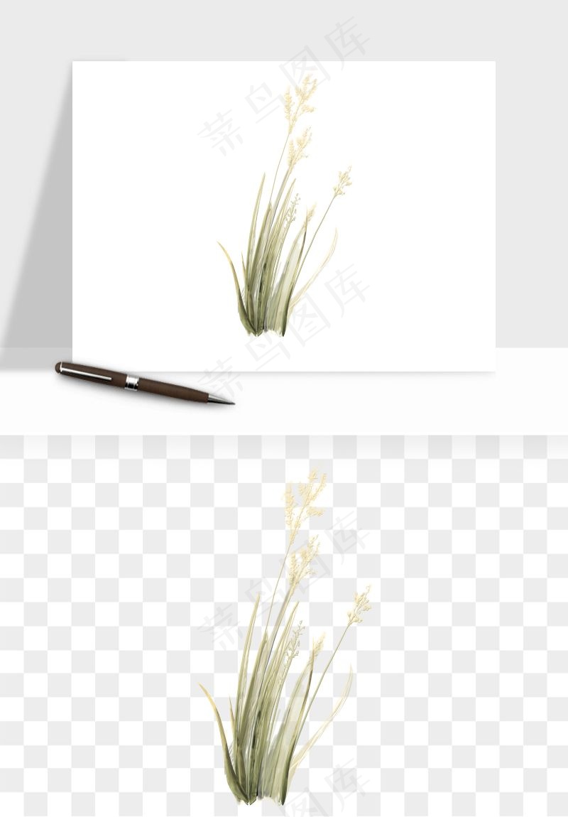 植物芦苇蒲苇香蒲png免抠