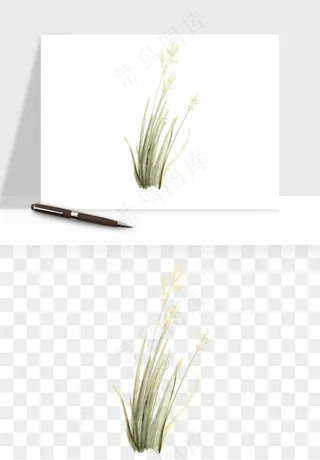 植物芦苇蒲苇香蒲png免抠