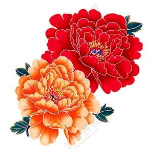 红色牡丹花素材