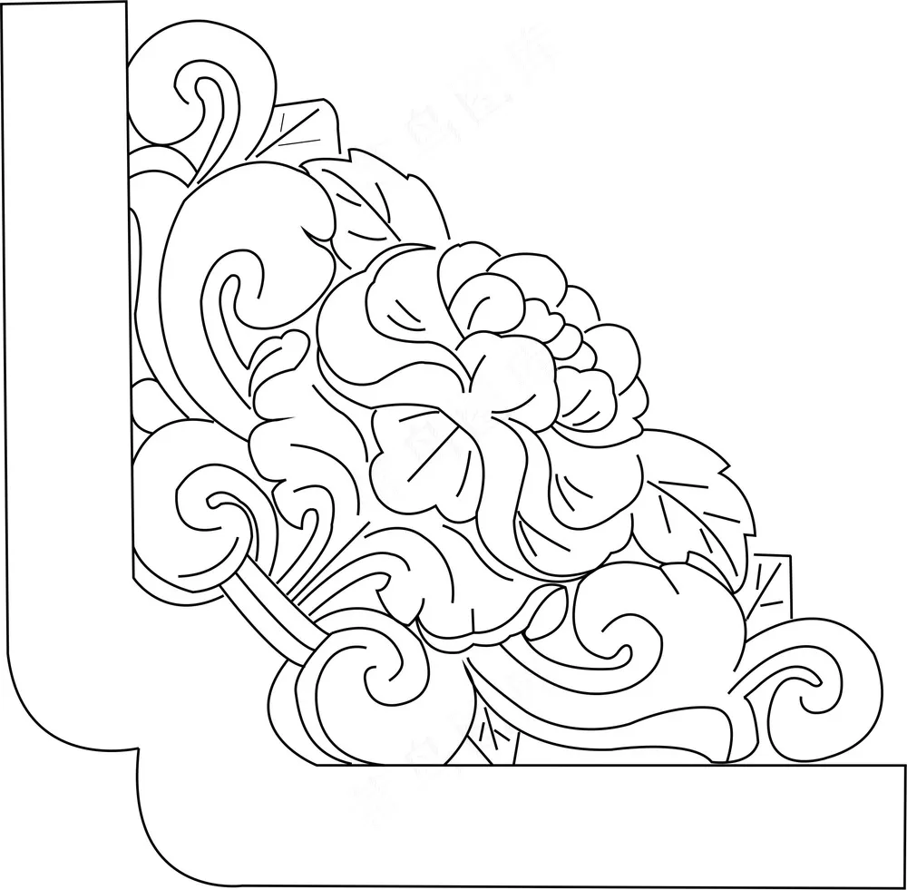 矢量  牡丹角花