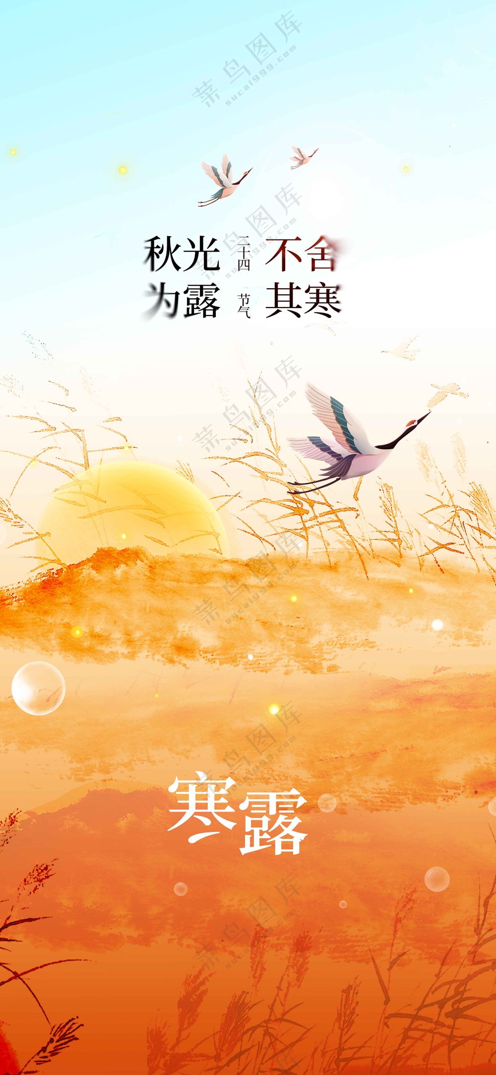 寒露节气传统活动宣传海报