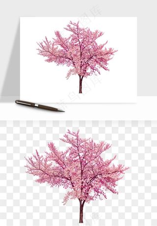 手绘樱花树png免抠