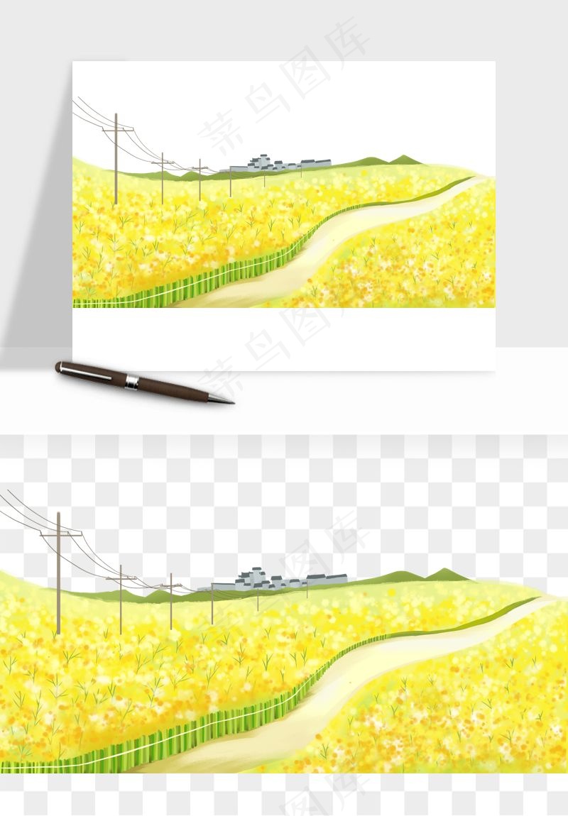 油菜花田png免抠