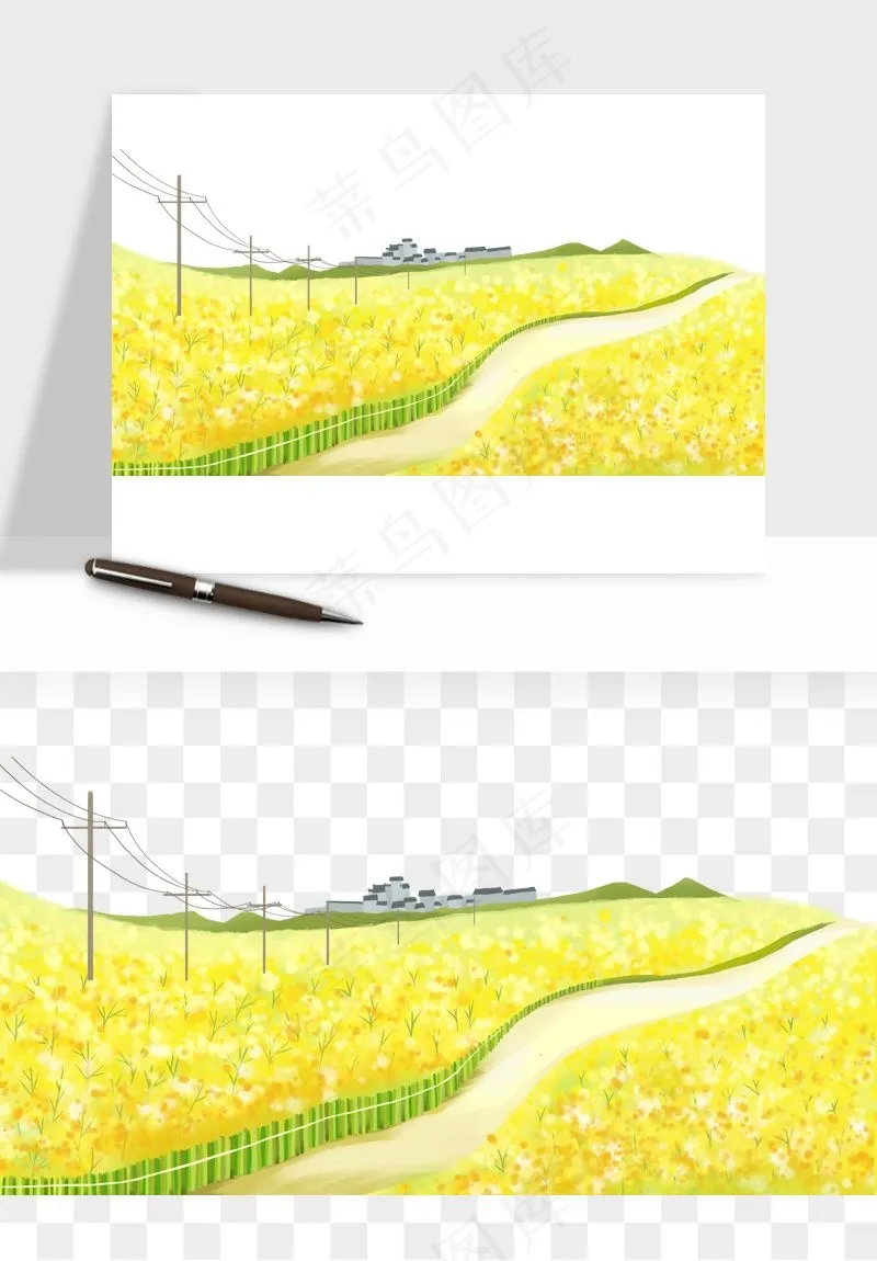 油菜花田png免抠