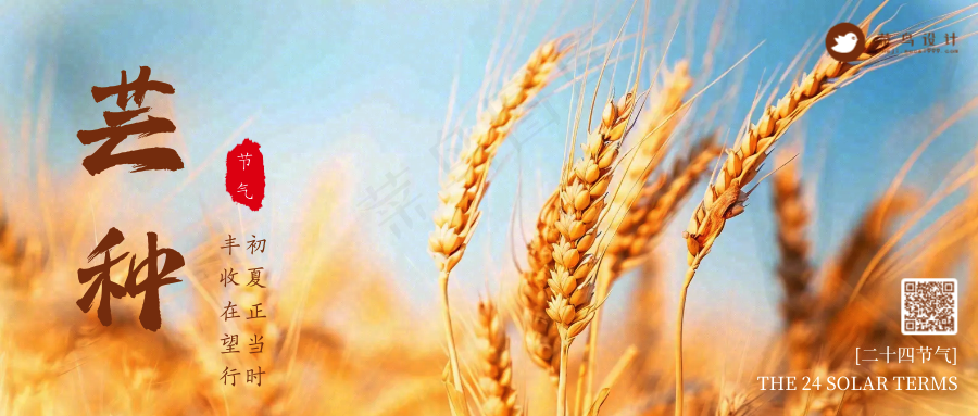 芒种公众号首图