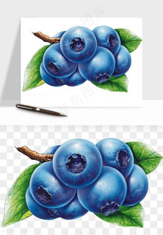 蓝莓水果png免抠