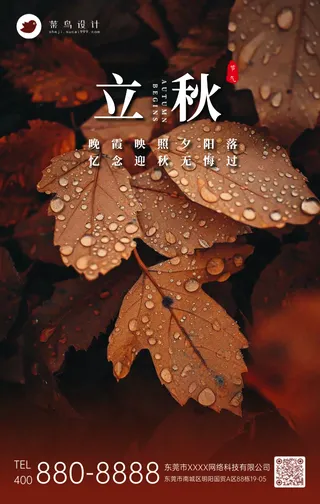立秋手机海报