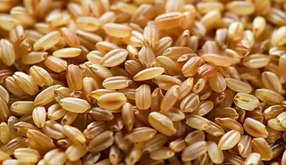 世界粮食日谷物米饭稻谷小麦摄影图