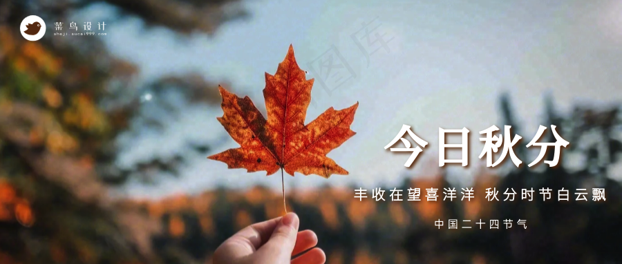 秋分公众号首图