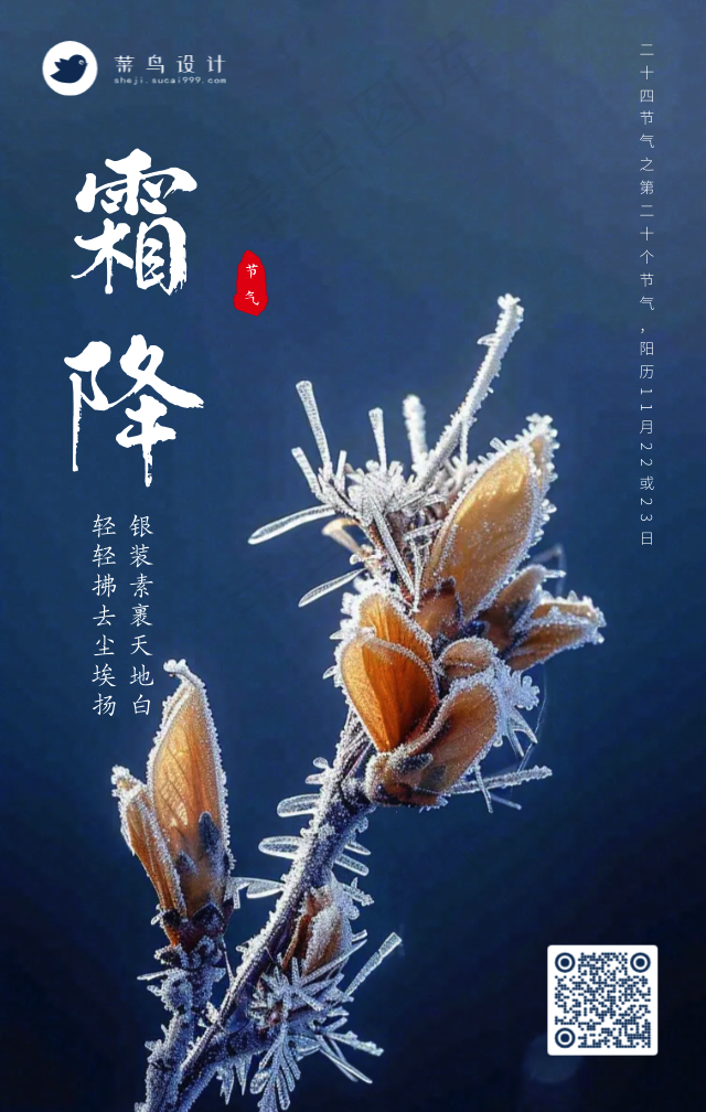 小雪手机海报