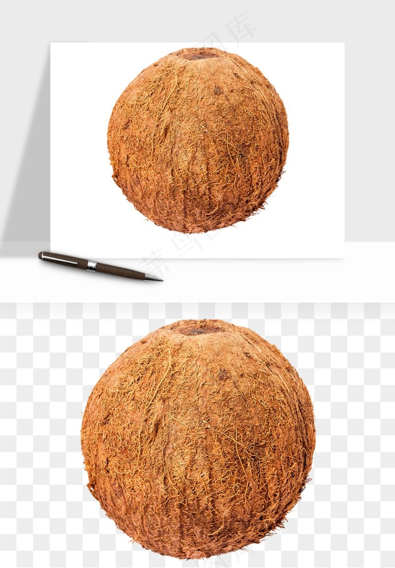 椰子椰果水果png免抠