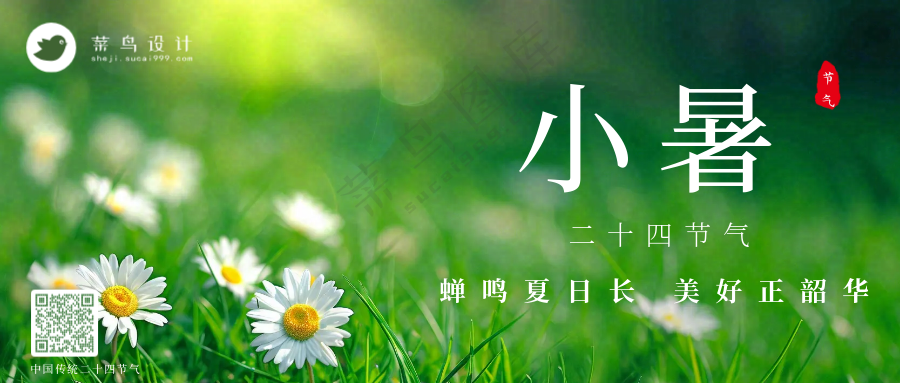 小暑公众号首图