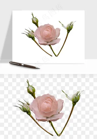 复古鲜花玫瑰png免抠