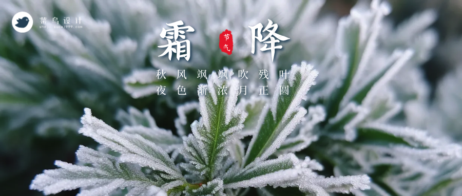 霜降公众号首图