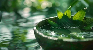 端午节浸泡的绿叶粽叶清新摄影图