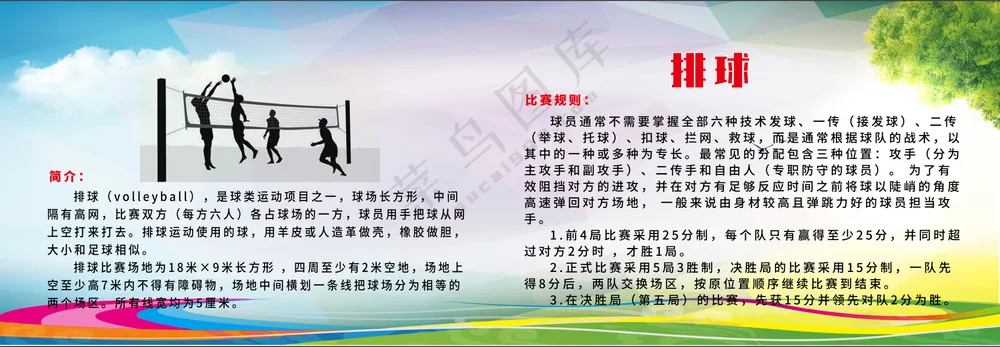 体育运动 排球
