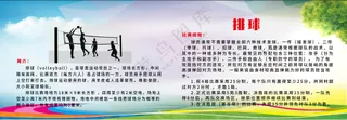 体育运动 排球