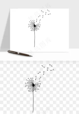 唯美蒲公英种子png免抠