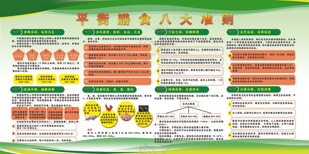 绿色简约平衡膳食八大准则
