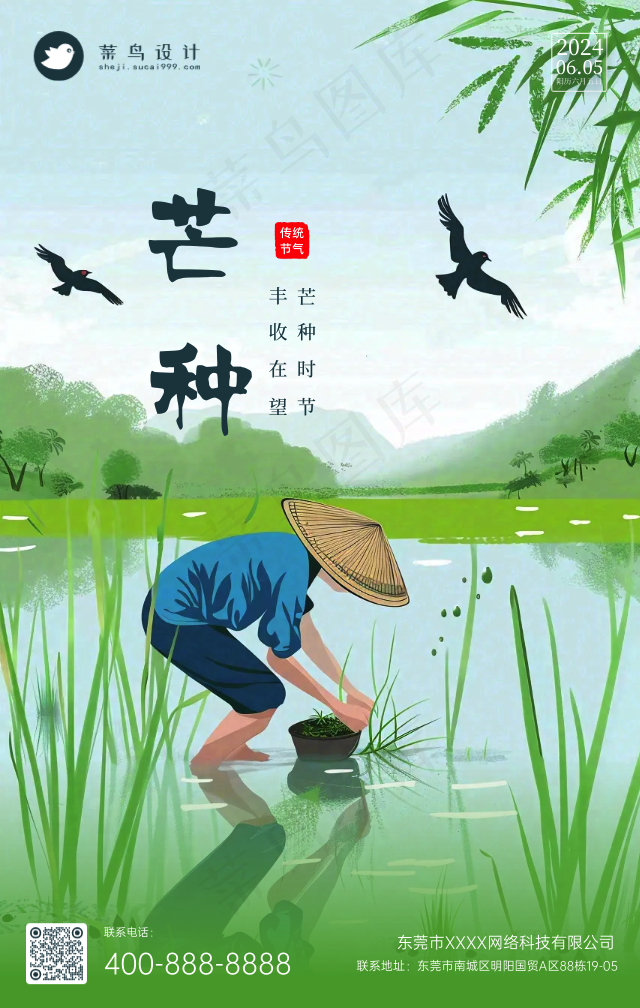 芒种手机海报