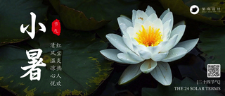 小暑公众号首图