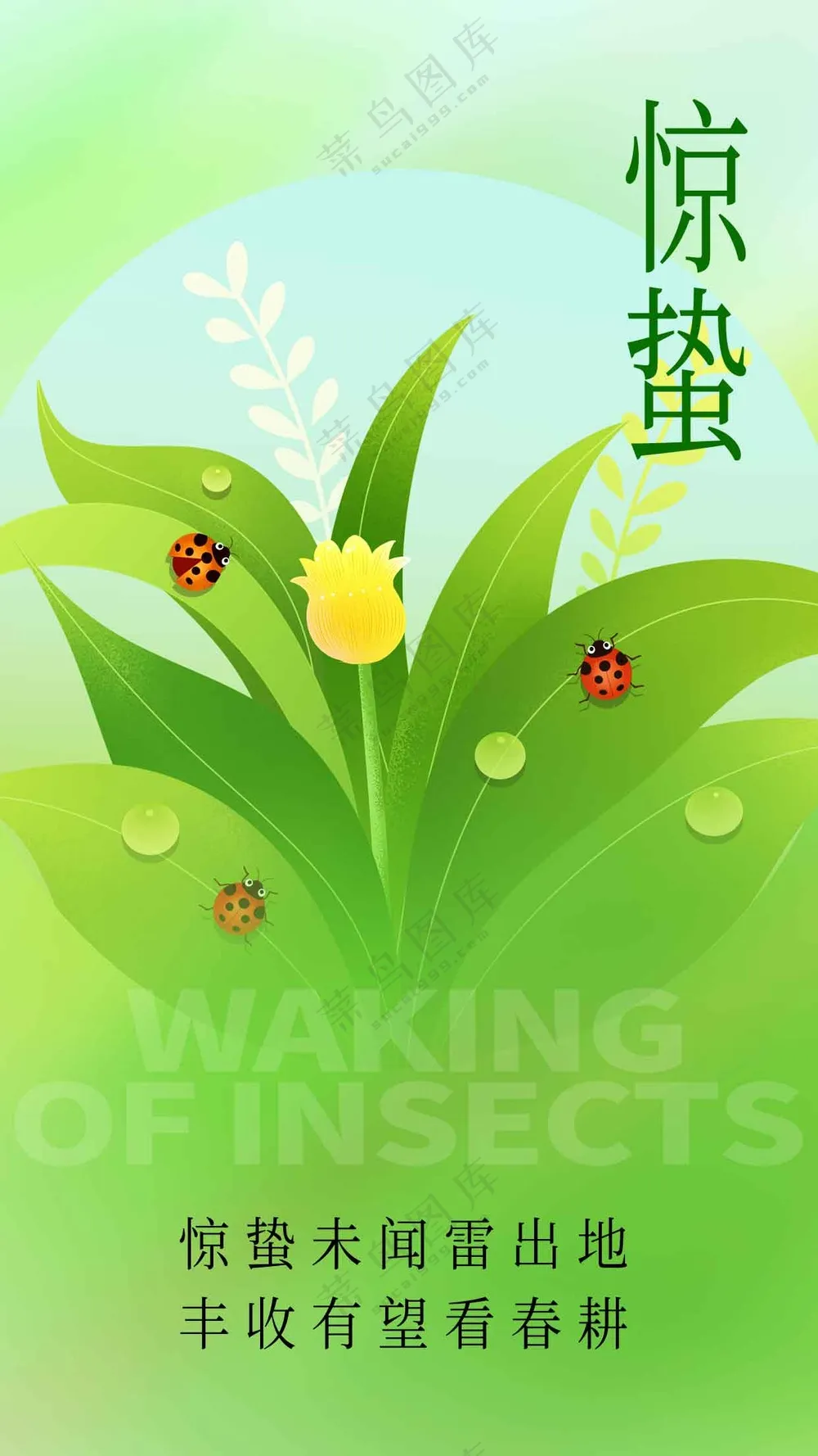 惊蛰节气传统活动宣传海报