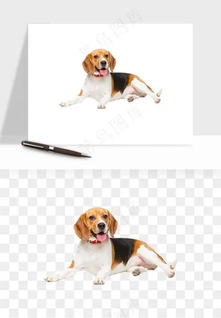 猫咪喵星人狗狗宠物元素png免抠