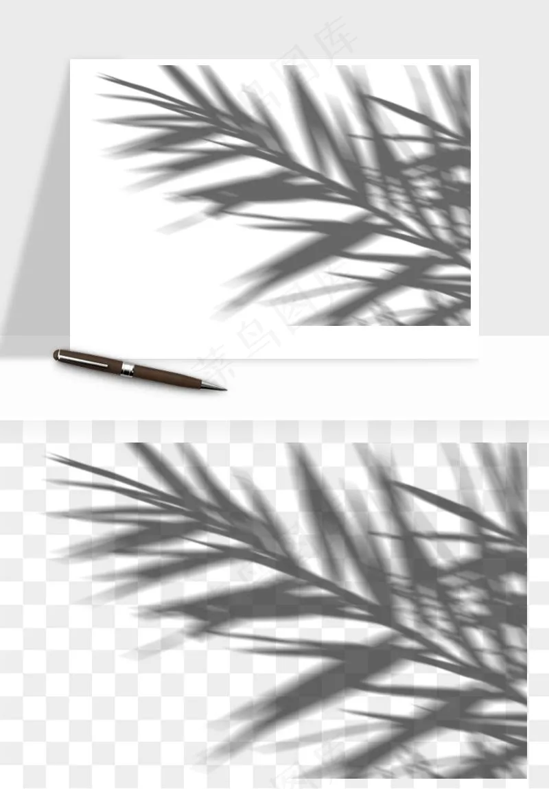 阴影植物窗户投影免抠元素