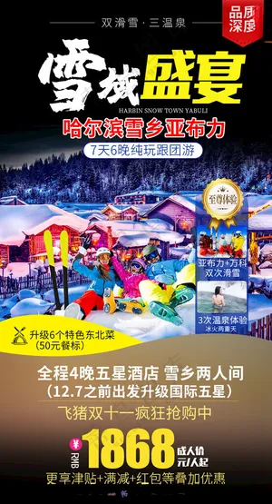 旅游活动冰雪海报设计