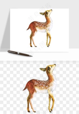 手绘梅花鹿小鹿麋鹿png免抠
