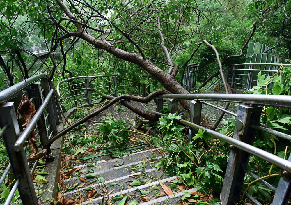 台风预警天气自然灾害