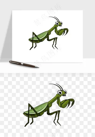 螳螂png免抠