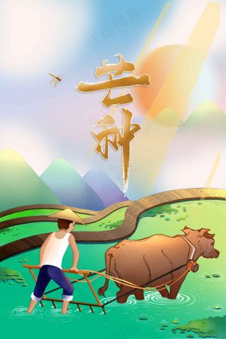 插画芒种节气传统海报