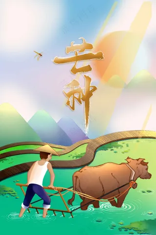 插画芒种节气传统海报