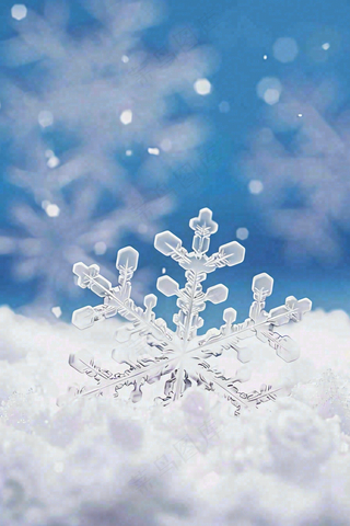 冰天雪地里的透明雪花白雪立冬小寒大寒冬至摄影图/