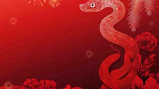 蛇年春节新年背景