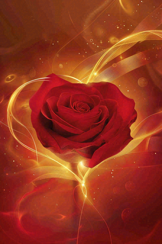 红色玫瑰花鲜花光线插画背景