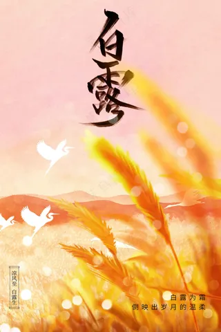 白露节气传统活动海报